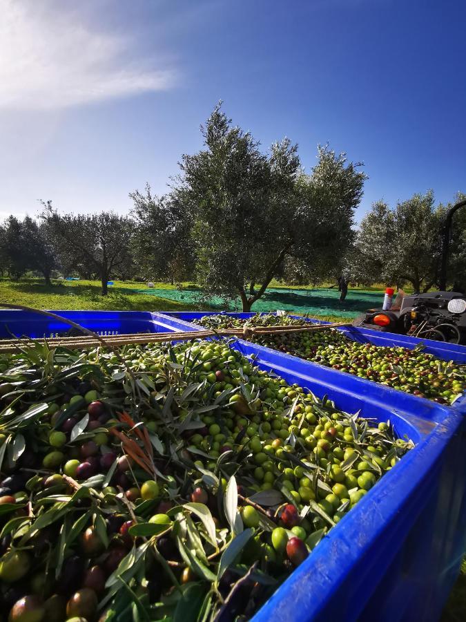 Azienda Agrituristica Baglio Carta Alojamento de Turismo Rural