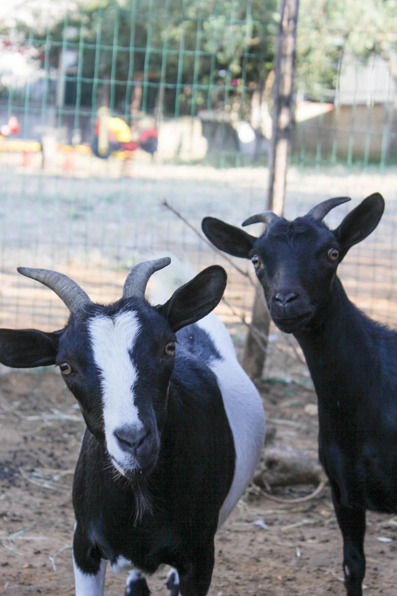 Alojamento de Turismo Rural Azienda Agrituristica Baglio Carta Balestrate