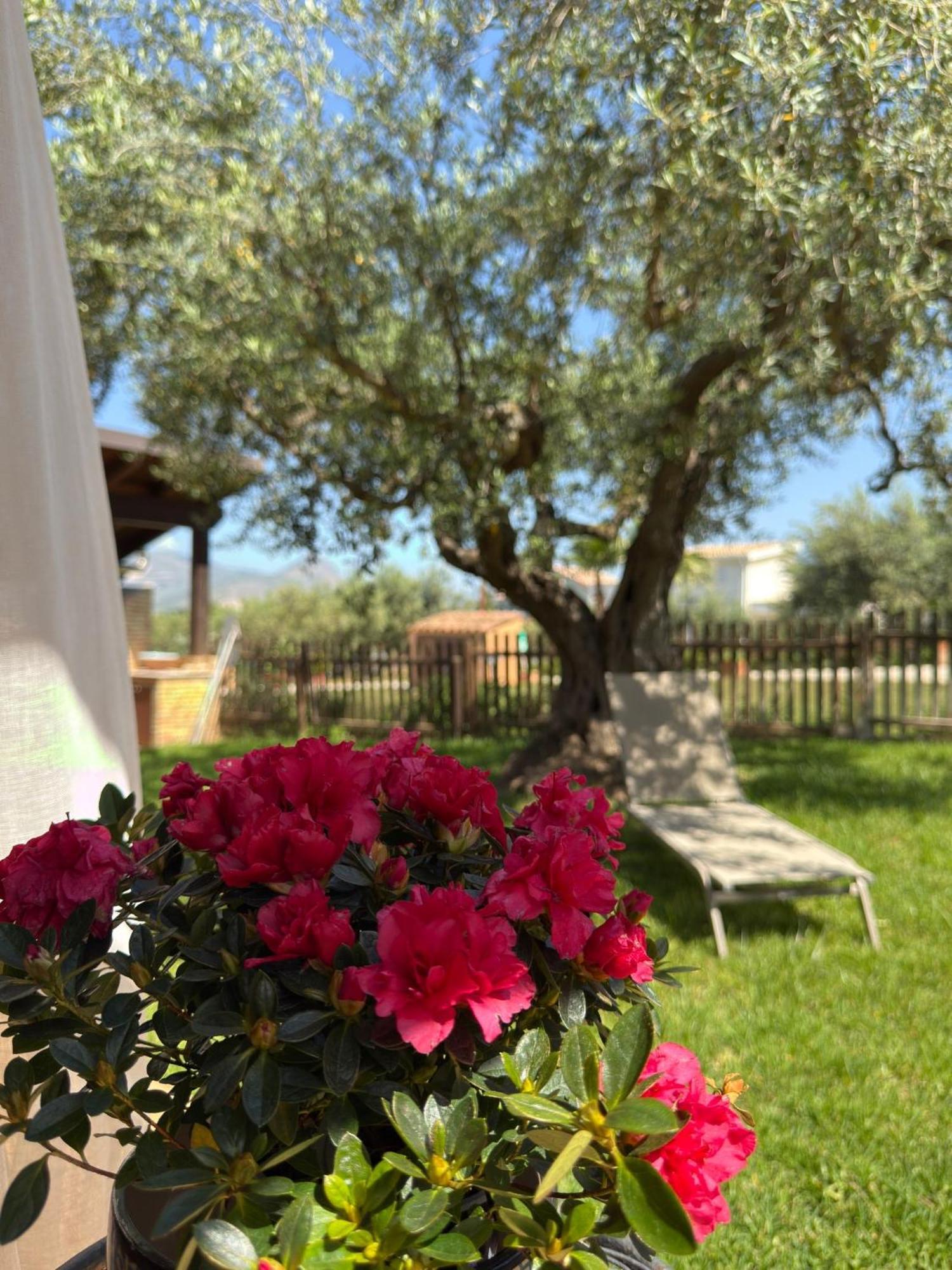 Alojamento de Turismo Rural Azienda Agrituristica Baglio Carta Balestrate