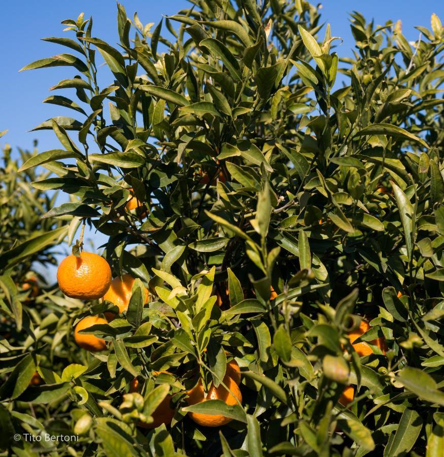 Azienda Agrituristica Baglio Carta * Balestrate
